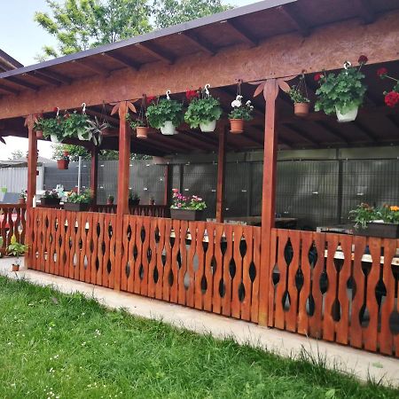 Hotel Vila Baciu Tuzla Esterno foto