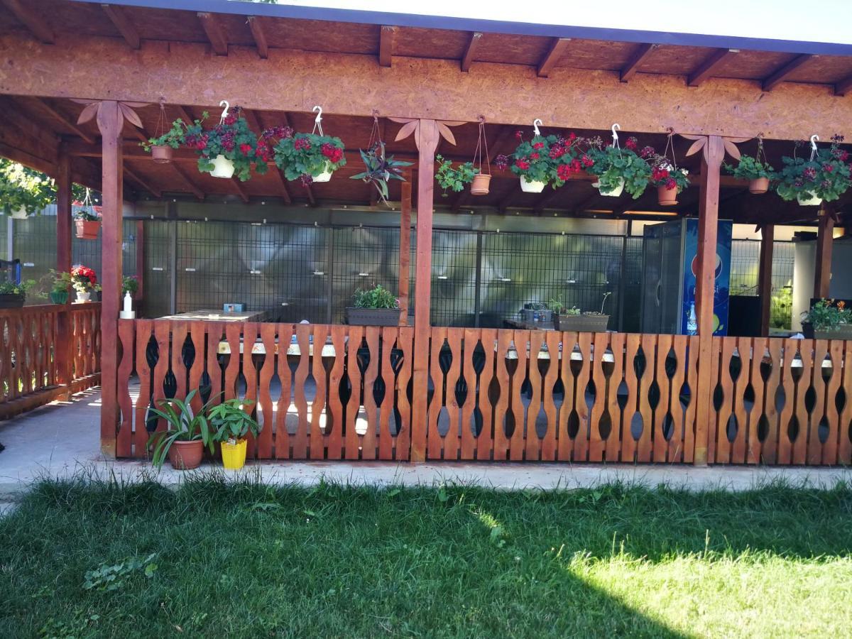 Hotel Vila Baciu Tuzla Esterno foto