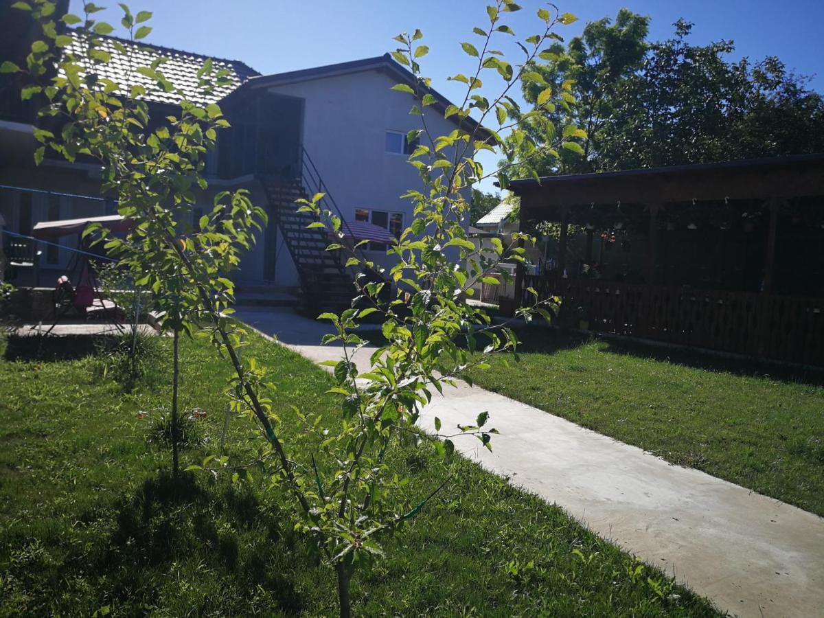 Hotel Vila Baciu Tuzla Esterno foto