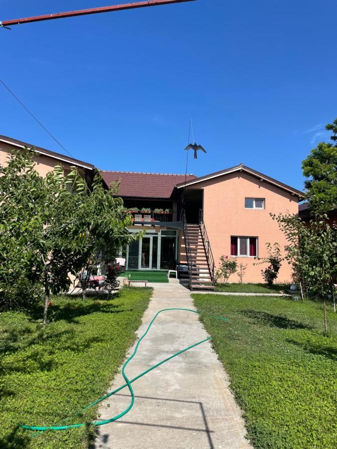 Hotel Vila Baciu Tuzla Esterno foto
